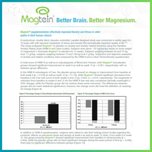 Load image into Gallery viewer, Magnesium L-Threonate Supplement (Magtein®) – High Strength 2100mg – 120 Capsules