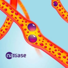 Load image into Gallery viewer, Nattokinase – 2000 FU / 100mg – Nattiase® Natural Fermented Soybean Extract – 120 or 60 Capsules