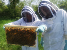 Load image into Gallery viewer, French Wildflower Honey - Pure, Natural, and Benefitting Native Bees - clean, raw honey