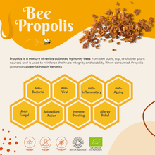 Load image into Gallery viewer, Organic Bee Propolis – High Strength 4:1 Extract – 1000mg – 2.5% Phenolic Acid / 10% Artepillin C – Immunity, Inflammation & Longevity Support – 60 Capsules