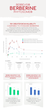 Load image into Gallery viewer, Berberine Phytosome® – 10X Enhanced Absorption – Clinically Proven Brand Berbevis® – Metabolism, Blood Sugar, AMPK Support – 60 Capsules