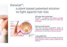 Load image into Gallery viewer, Hair Complex – Premium Brand Keranat™ – Improves Hair Brightness, Volume & Beauty – Clinically Proven, Patented Formula - 60 Capsules