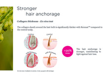 Load image into Gallery viewer, Hair Complex – Premium Brand Keranat™ – Improves Hair Brightness, Volume & Beauty – Clinically Proven, Patented Formula - 60 Capsules
