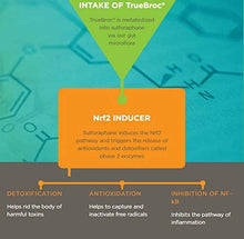 Load image into Gallery viewer, Broccoli Extract – Glucoraphanin & Sulforaphane from Broccoli Seed & Sprout Extract – Long-Lasting Antioxidant Properties – Premium TrueBroc® Formula - 60 Capsules