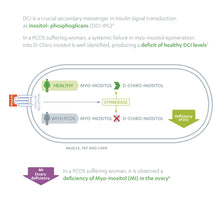Load image into Gallery viewer, New & Improved: Myo & D Chiro Inositol – Clinically Proven – 6X more D-Chiro-Inositol for Enhanced Benefits – PCOS Support - 120 Capsules / 100g Powder