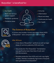 Load image into Gallery viewer, ButyraGen™ Tributyrin Complex – Directly Generates Postbiotic Butyrate – Gut, Microbiome, Immune &amp; Cognitive Support – 60 Capsules
